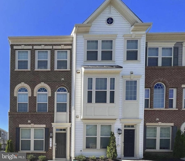 7801 Rosella Lane - Photo 1